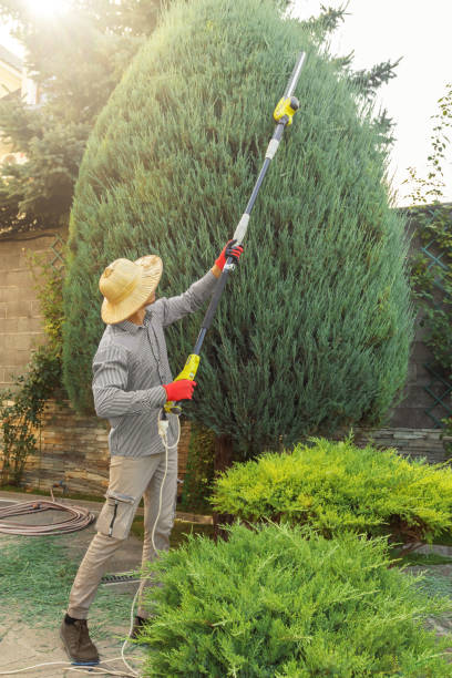 Best Commercial Tree Services  in Greenville, TX